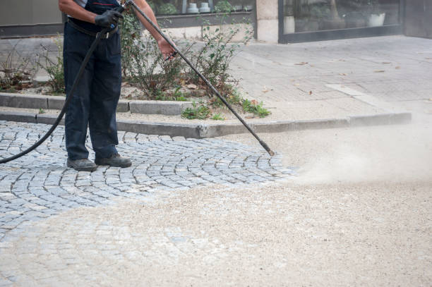Best Sign and Awning Cleaning  in De Kal, TX