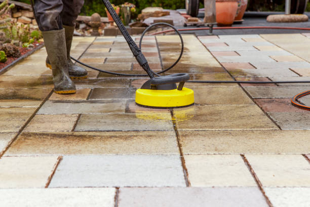 Best Solar Panel Cleaning  in De Kal, TX
